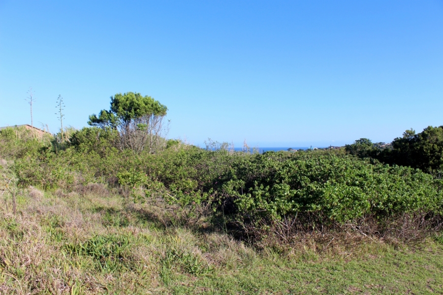 0 Bedroom Property for Sale in Forest Downs Eastern Cape